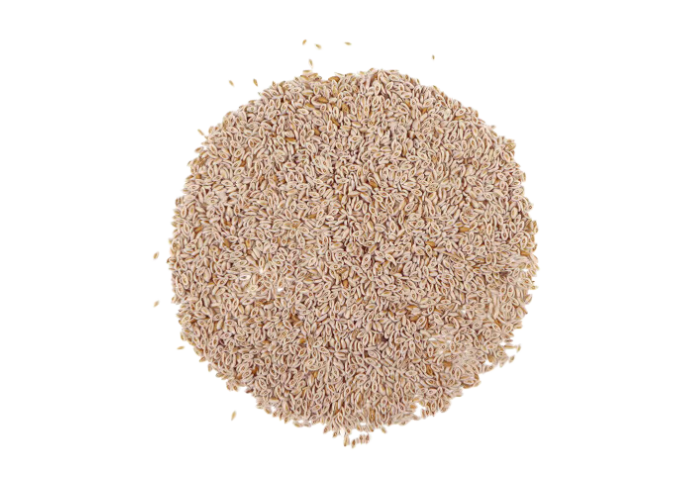 PSYLLIUM