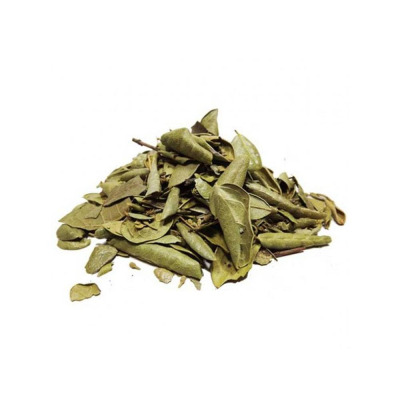 Boldo Chileno (Chá)