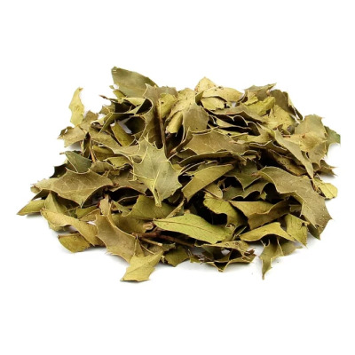 Espinheira Santa (Chá)